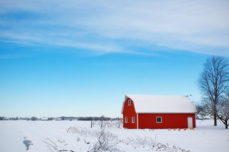 Whimsical Barns